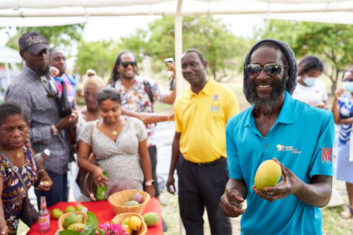 Nevis mango festival