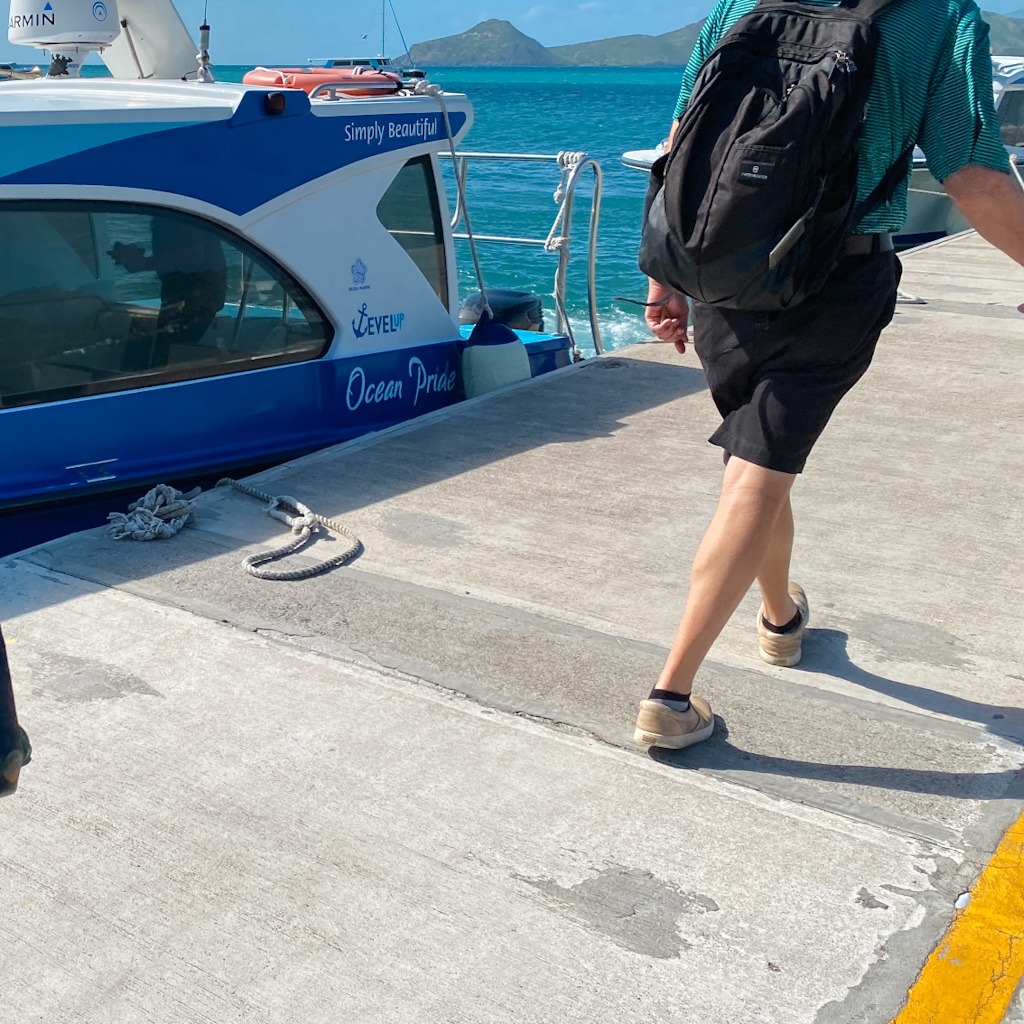 private water taxi transfers private water taxi transfers