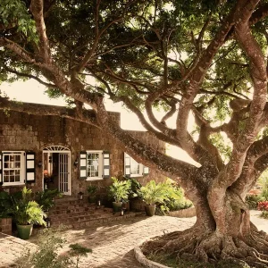 Montpelier Nevis