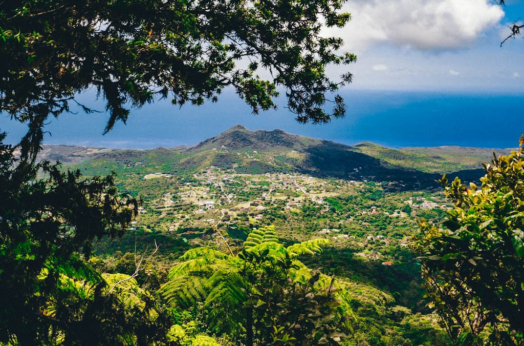 Nevis for Nature Lovers: Discovering the Island’s Natural Wonders