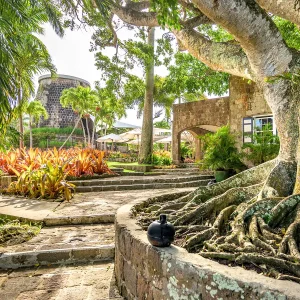 Montpelier Nevis