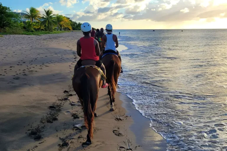 Horseback riding with Nevis Equestrian Centre
